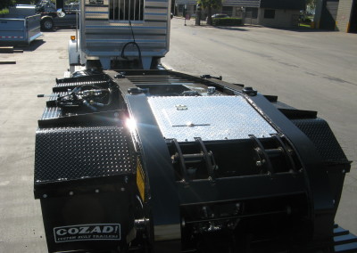 Hydra_30