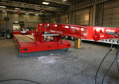 Hydra_red_11