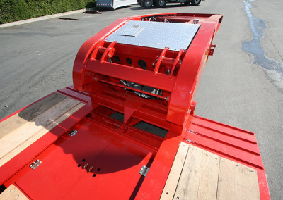 Hydra_red_26