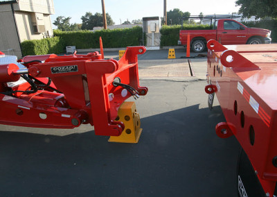 Hydra_red_46