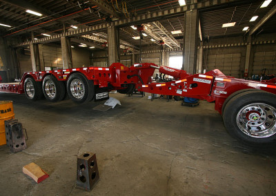 Hydra_red_48