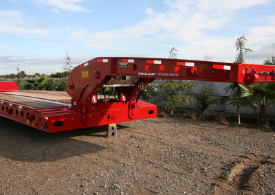 Hydra_red_54