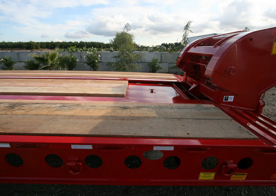 Hydra_red_55