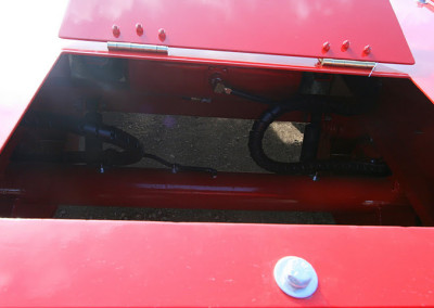 Hydra_red_71